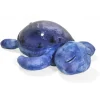Cloud B Tranquil Turtle Ocean