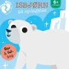 Isbjørn på opdagelse