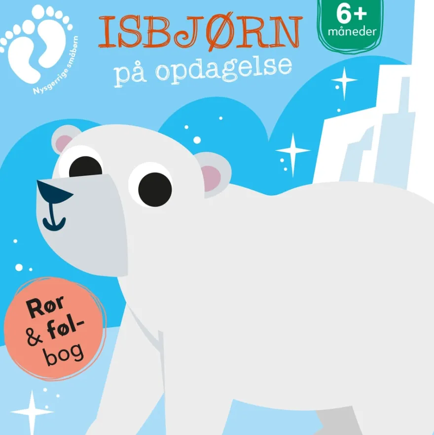 Isbjørn på opdagelse