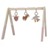 Little Dutch Baby Gym Fairy Garden