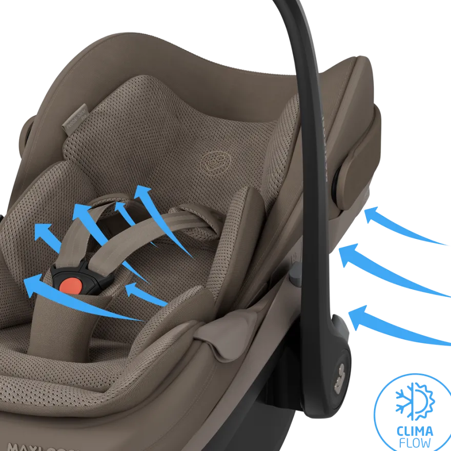 Maxi-Cosi Pebble Slide Pro - Oak Truffel